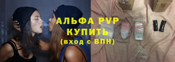 стаф Балахна