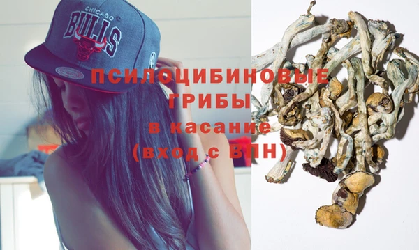 дурь Аркадак