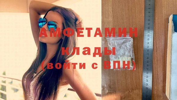 стаф Балахна