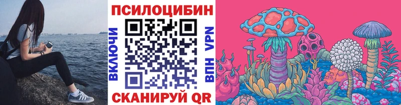 Псилоцибиновые грибы GOLDEN TEACHER  купить наркотик  Холм 